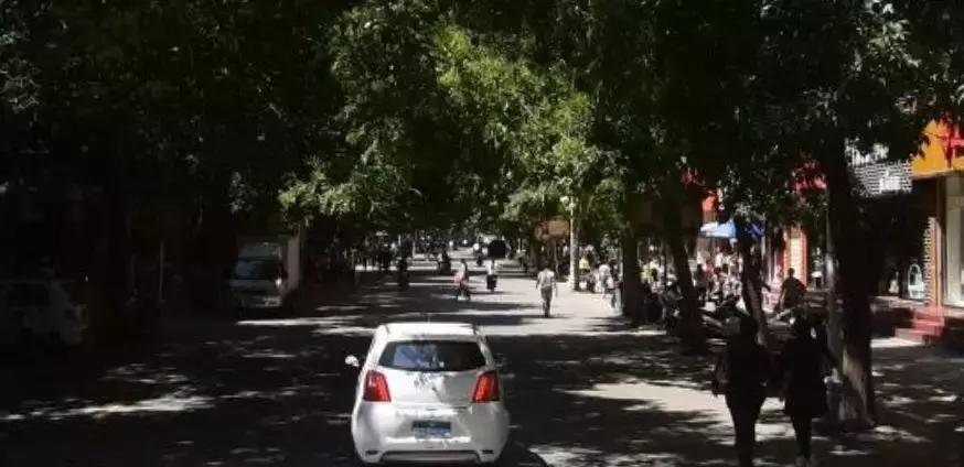 吴忠必吃十大美食,宁夏吴忠特色美食