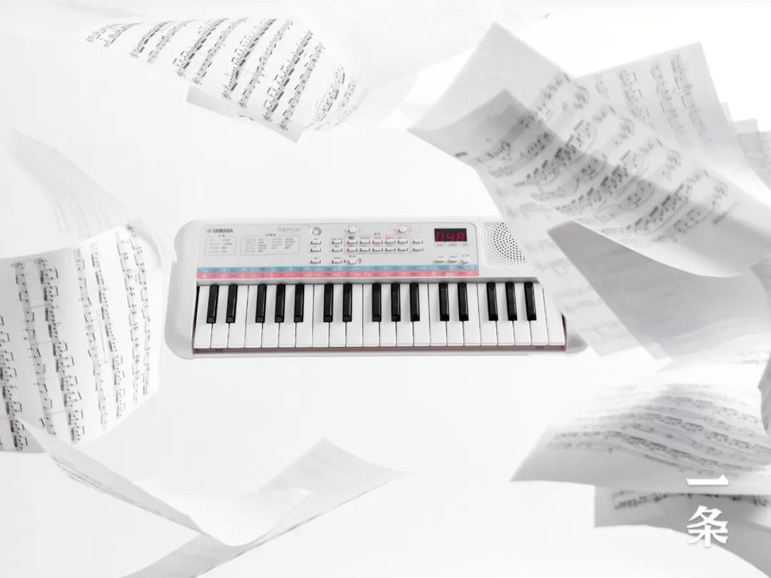 雅马哈自弹自唱的电子琴,目前最好的雅马哈电子琴最大一款