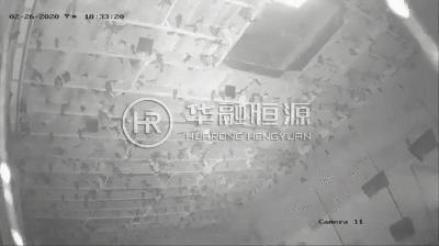 秋天润肺燕窝的功效与作用,清肺养肺最好的燕窝