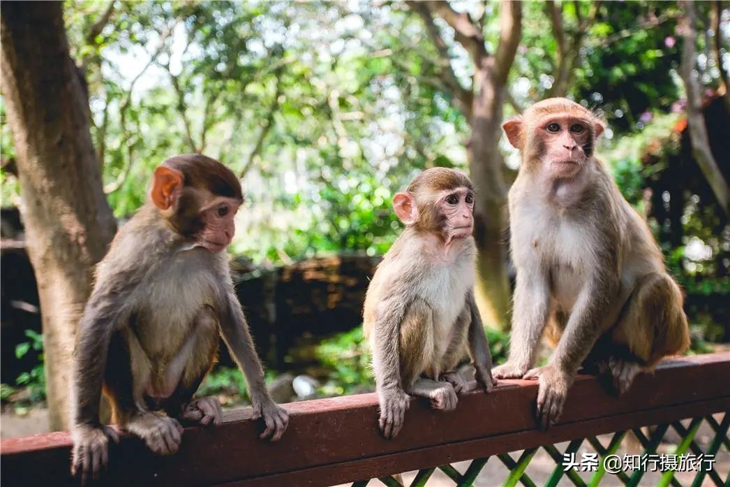 海南环岛自驾旅游攻略最新,海南东部环岛自驾游攻略详细行程