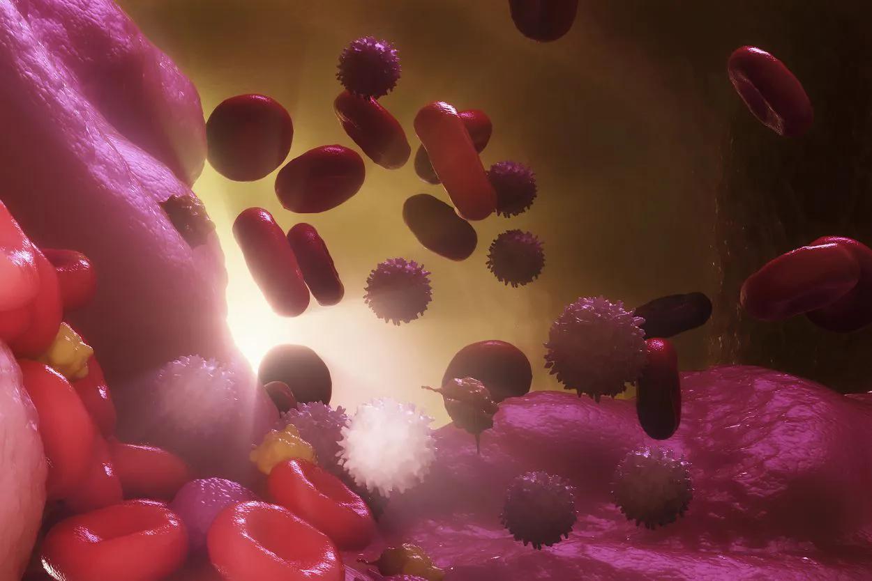 动物身上的特殊器官,动物的器官有哪几个