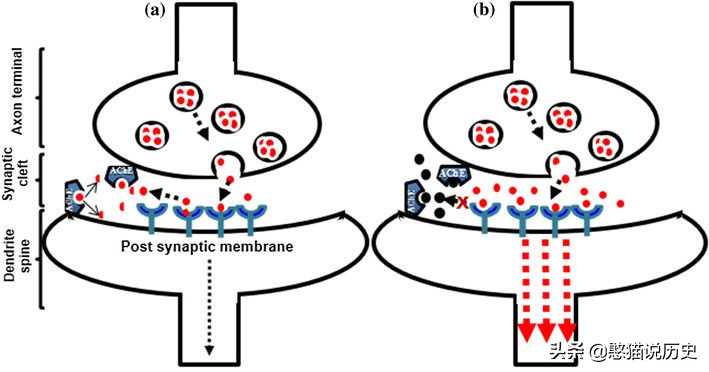 500只羊一夜暴毙真相,200只羊集体暴毙
