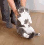 支原体感染可以导致不孕吗,支原体感染属于传染病吗