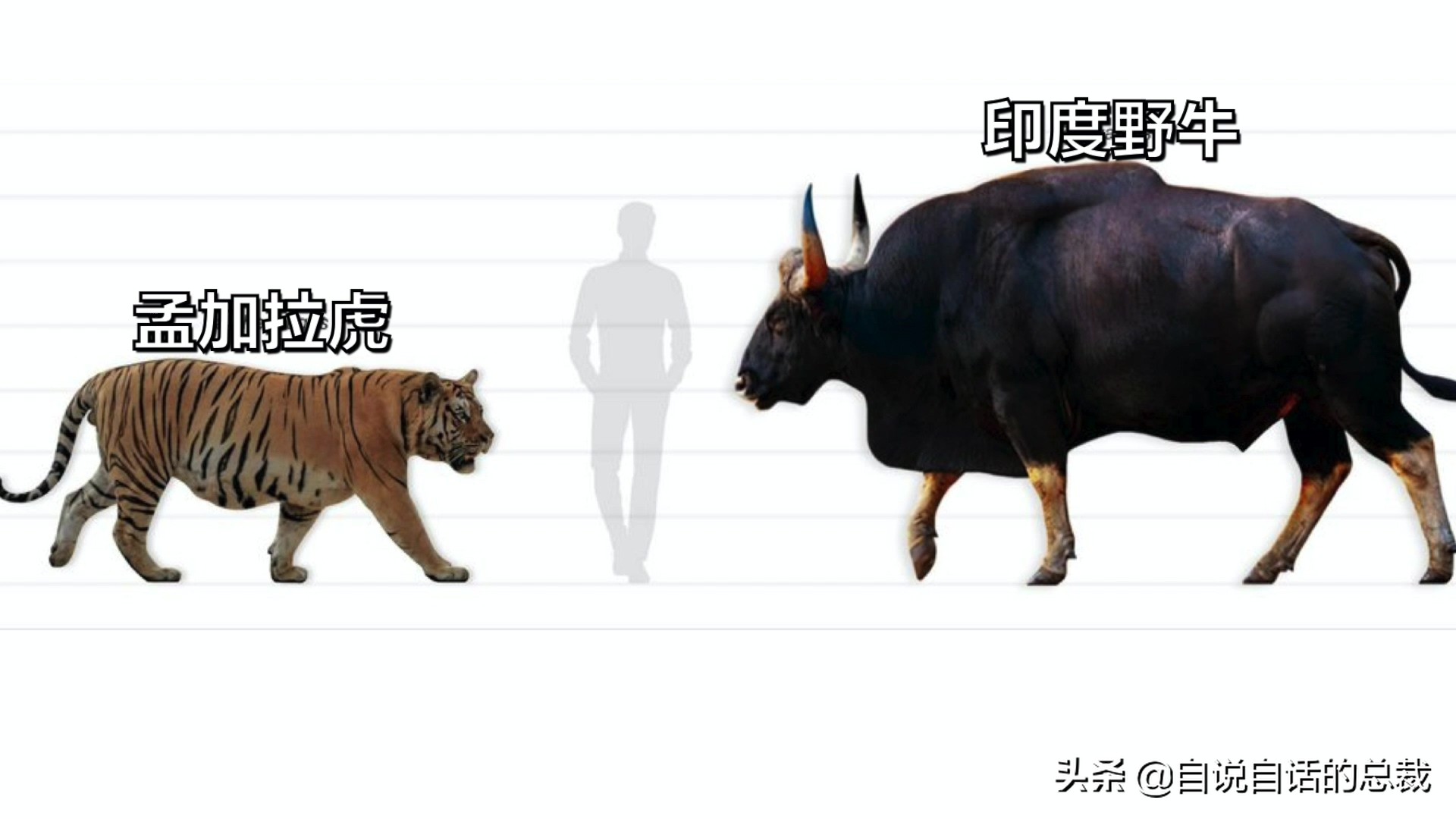 阿努纳奇创造人类7次文明,阿努纳奇人类起源