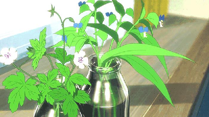 脾寒肝火旺吃什么药,脾寒肝火旺先治哪种