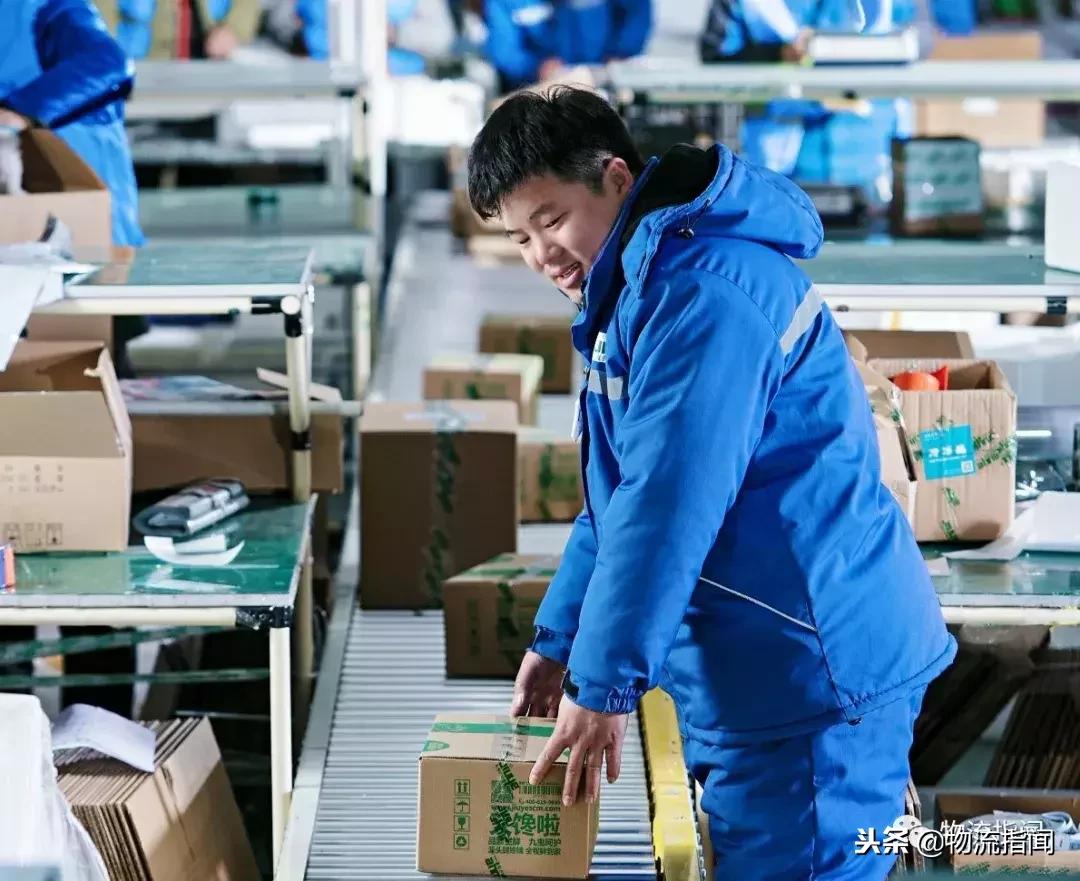 下一个独角兽抢占先机,九曳生鲜供应链