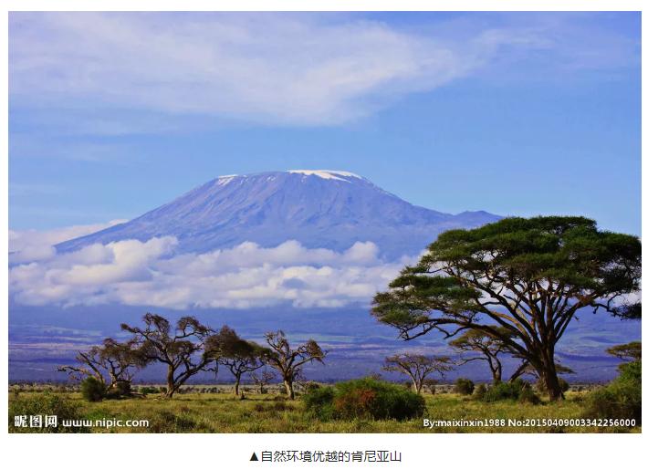 肯尼亚红茶全是粉末吗,肯尼亚红茶有哪些