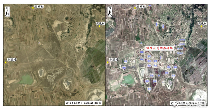 吉林白城自然灾害,吉林破坏生态环境案件