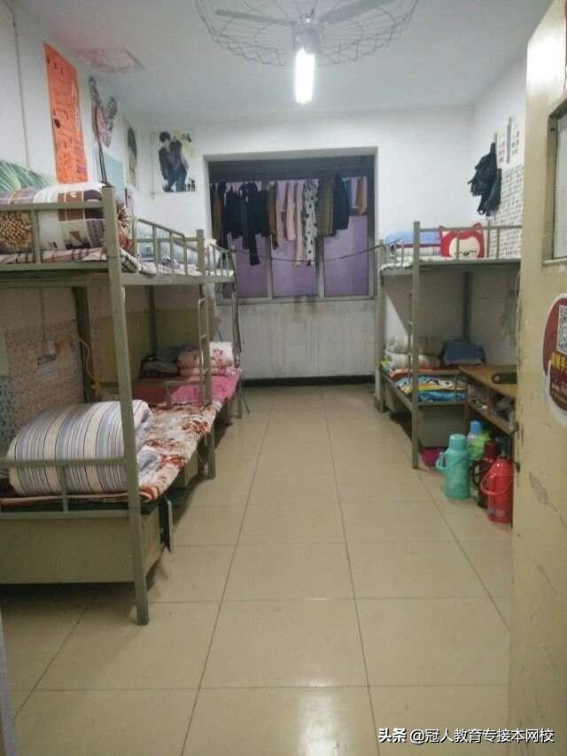 石家庄学院专接本2019有哪些专业,2018石家庄学院专接本