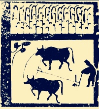 男性单身要交税吗,到多少岁不结婚要交税