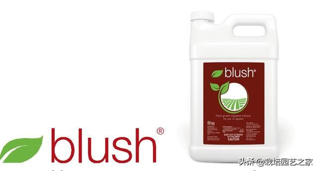 葡萄上色哪种最好,葡萄需要上色的有哪些品种