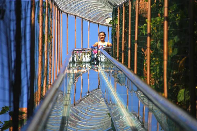 抱犊寨高考生优惠,中考生免费福利