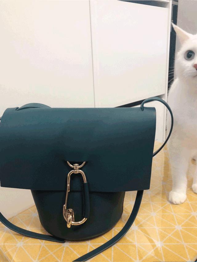 非常好看的宠物包,大家的包都带什么玩偶