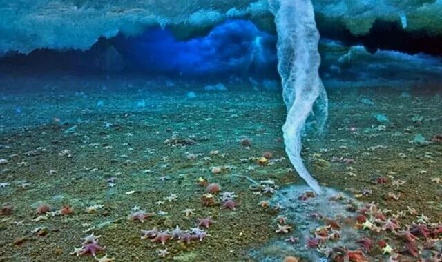 真实存在的世界十大怪,世界十大怪