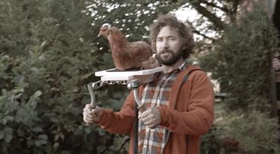 鸡头放摄像头视频,鸡头上装摄像机