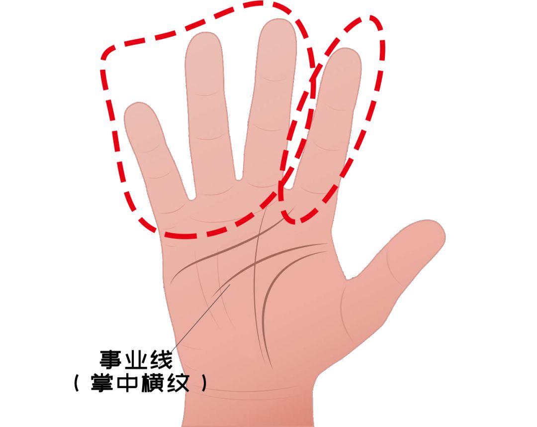 从医学角度,解读手相的秘密