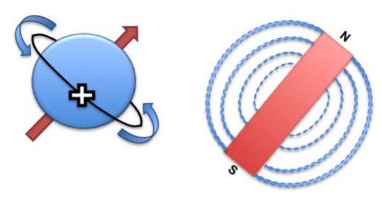 脑成像,脑成像技术是什么研究方法