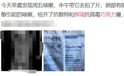 辉瑞巧克力膏真伪,辉瑞巧克力靠谱吗