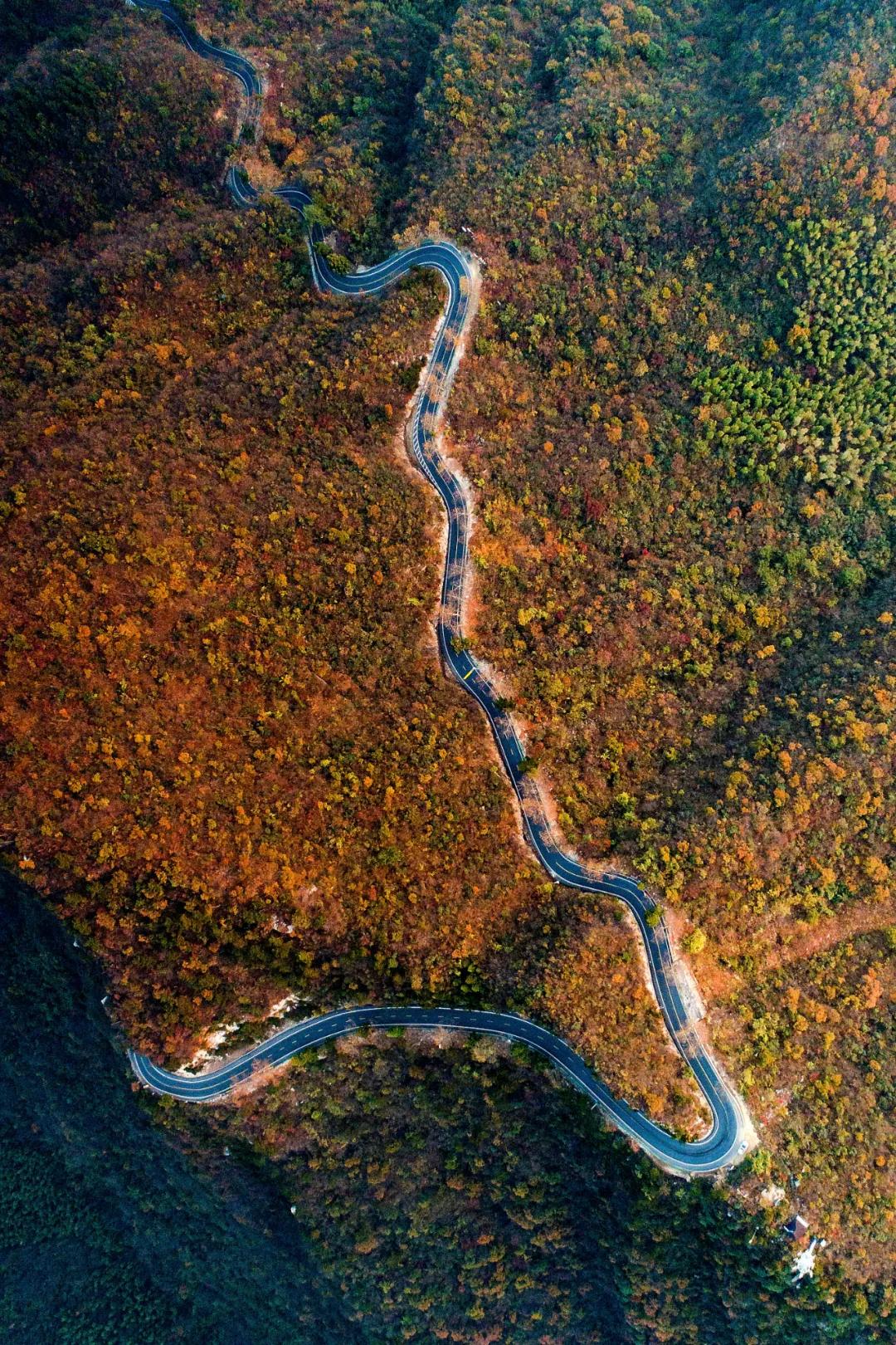 庐山避暑胜地有哪些,庐山避暑别墅推荐