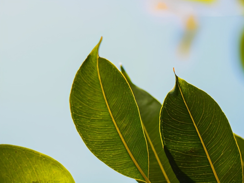 被分手了怎么挽回前任,被分手了如何挽回