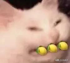 腾讯员工平均月薪超8万包括什么,腾讯员工平均薪资