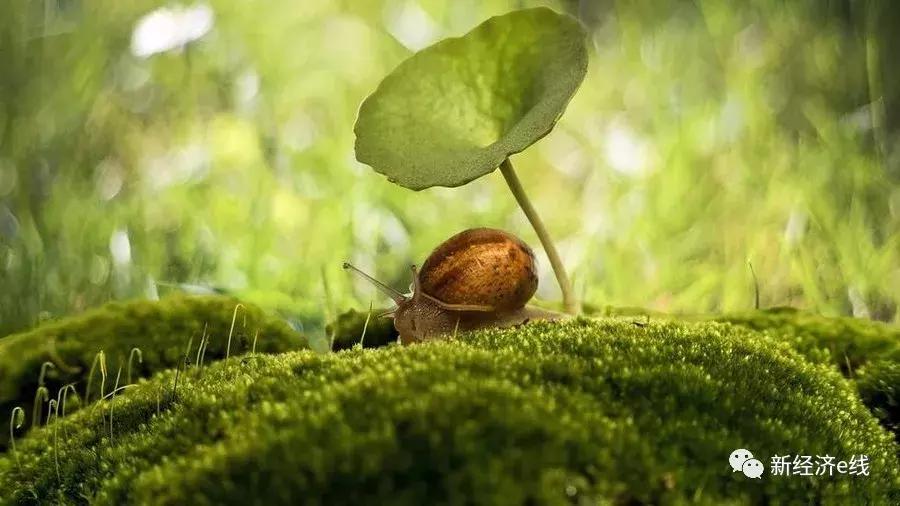 官方回应网游新规将完善,官方回应网游新规将修改完善