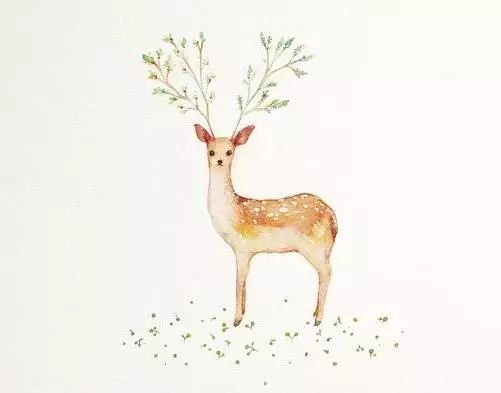 上山途中偶遇迷路野生小鹿,陕西一男子偶遇两只野生小鹿