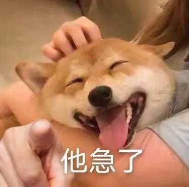 整容秃头还出轨？“发发爱我2021”拿着视频来锤华晨宇了