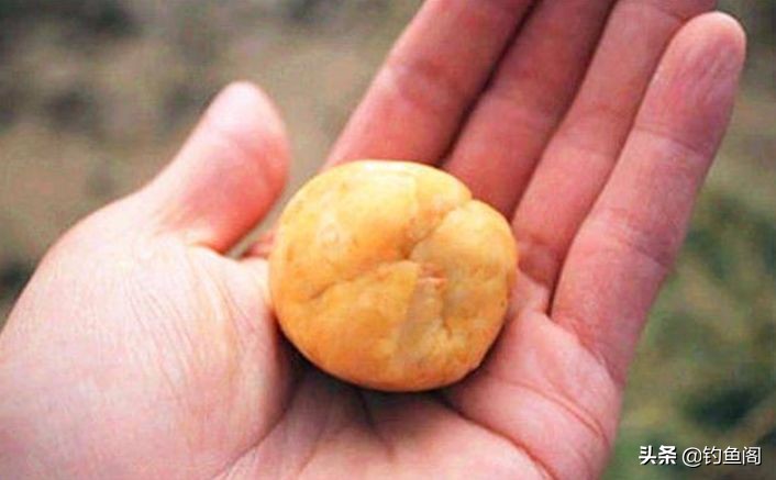 自制玉米鱼饵配方大全野钓,玉米鱼饵配方大全野钓自制