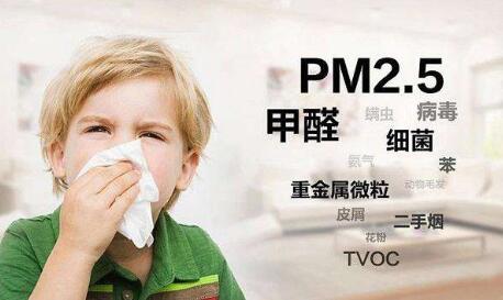 除甲醛空气治理公司,企业除甲醛加盟方案设计