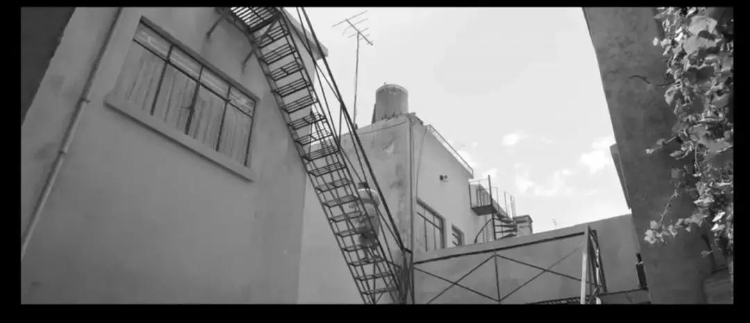 奥斯卡评选20世纪100部电影,奥斯卡10个奖项