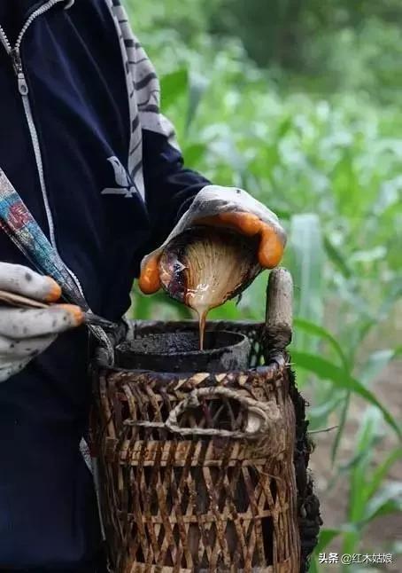 蜂蜡树蜡的区别,木蜡和蜂蜡哪个好