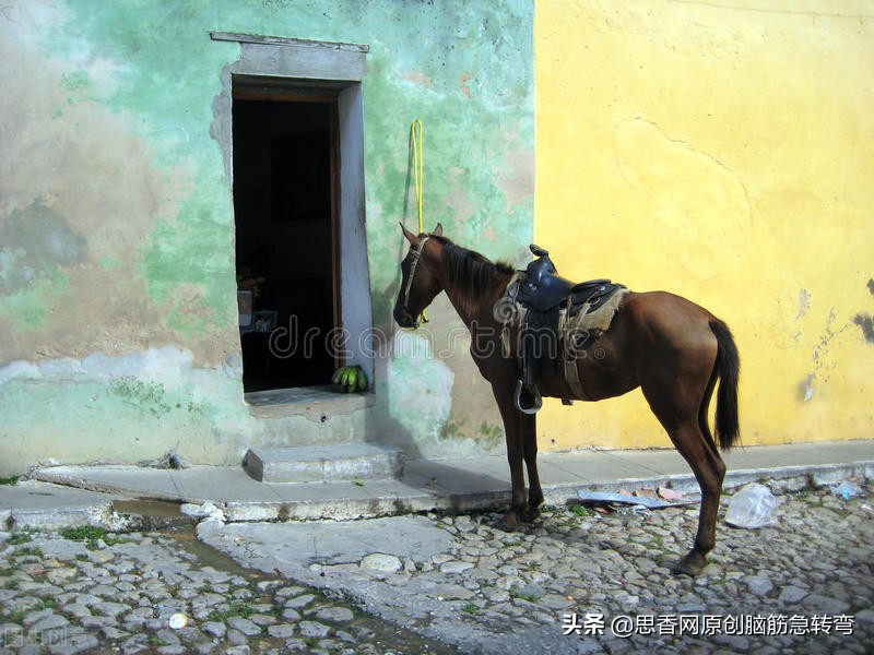 搞笑：穿铁衣裳，牙齿肚里藏，吃饭沙沙响，粪便骡马尝（打一物）