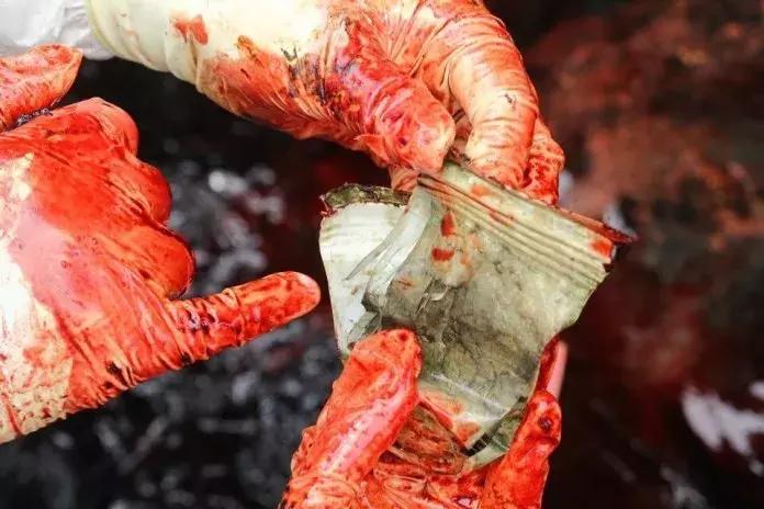 1116只鲨鱼被塑料缠住，不及余文乐发布一则视频引发的“痛感”