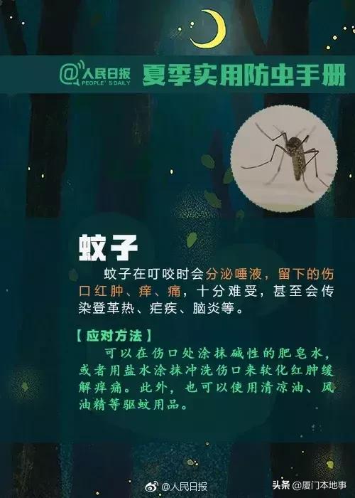 厦门人当心！又有虫子出来惹事！被咬后严重可危及生命