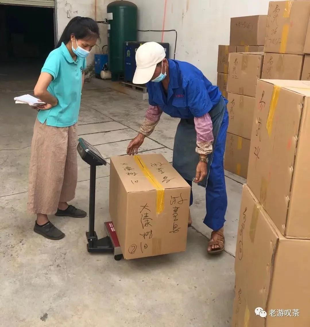 老游叹茶：压茶是个精细活，不可小觑