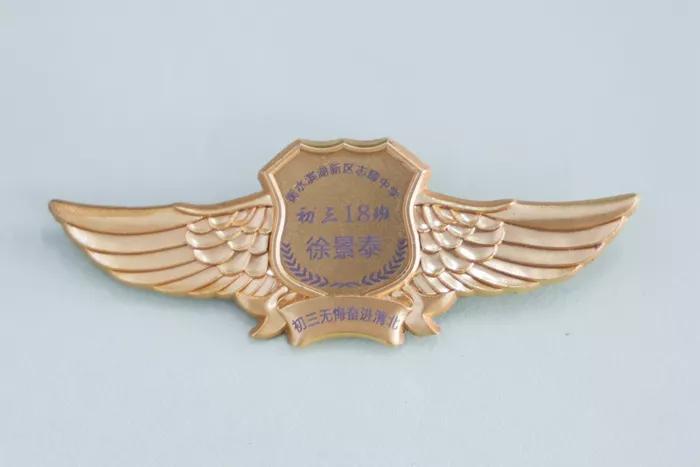 凝聚集体力量的班徽,团结友爱拼搏进取班徽