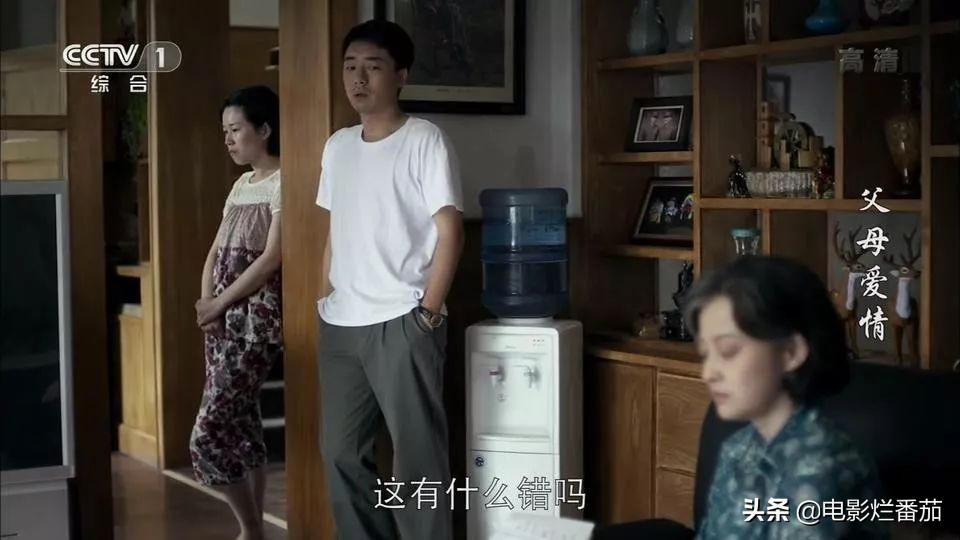 父母爱情为何拿奖,父母爱情总共获得几回奖