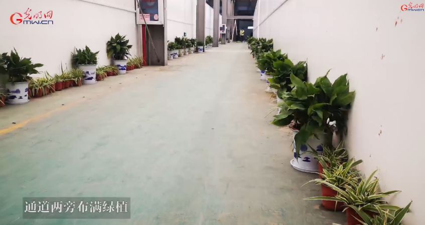 新冠治疗费一览表,新冠医疗费国家最新政策