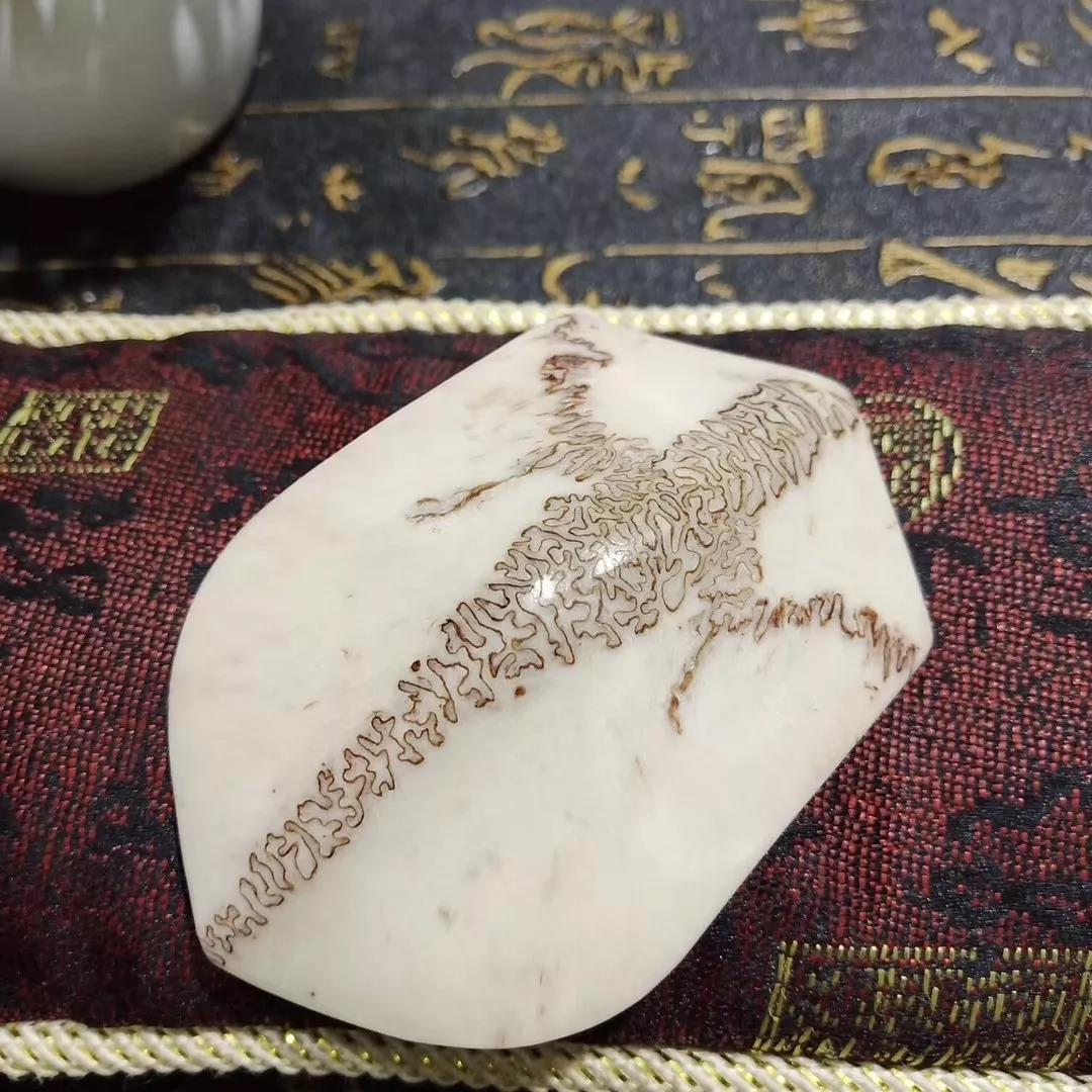 她把没人要的鹿头骨制成神秘工艺品，放到淘宝上，年销超过百万