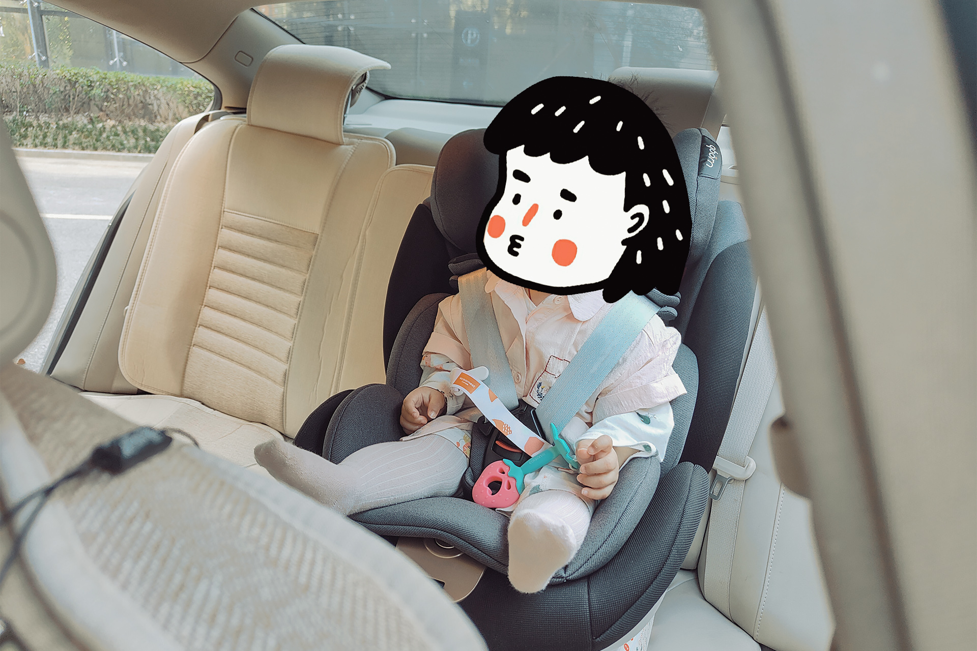 qborn大白熊安全座椅参数,qborn大白熊安全座椅