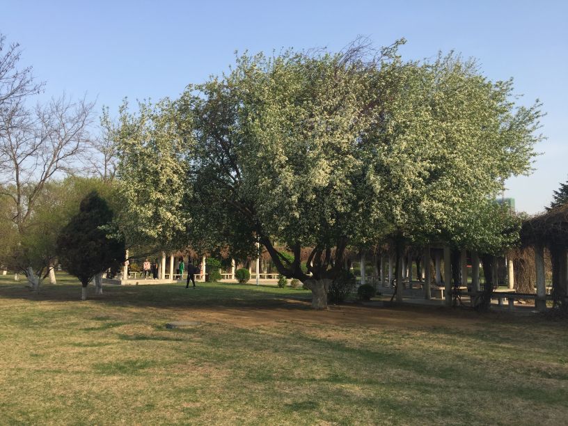 娌堥槼寮犲＋濂夎揪鍏洯,娌堥槼濂夎揪鍏洯