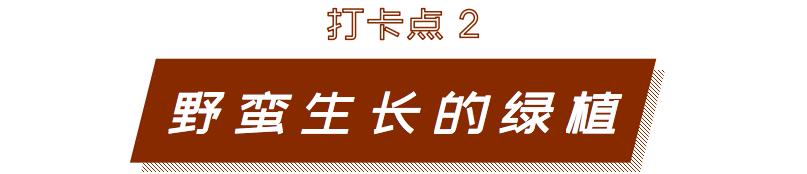 深圳风景最好的岛,深圳有个什么旅游岛