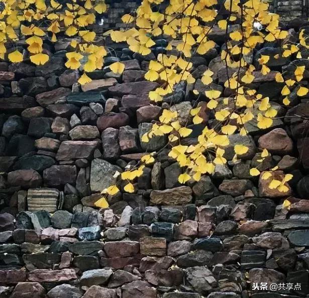 辉县白云寺国家森林公园好看吗,从获嘉县城到辉县白云寺怎么走