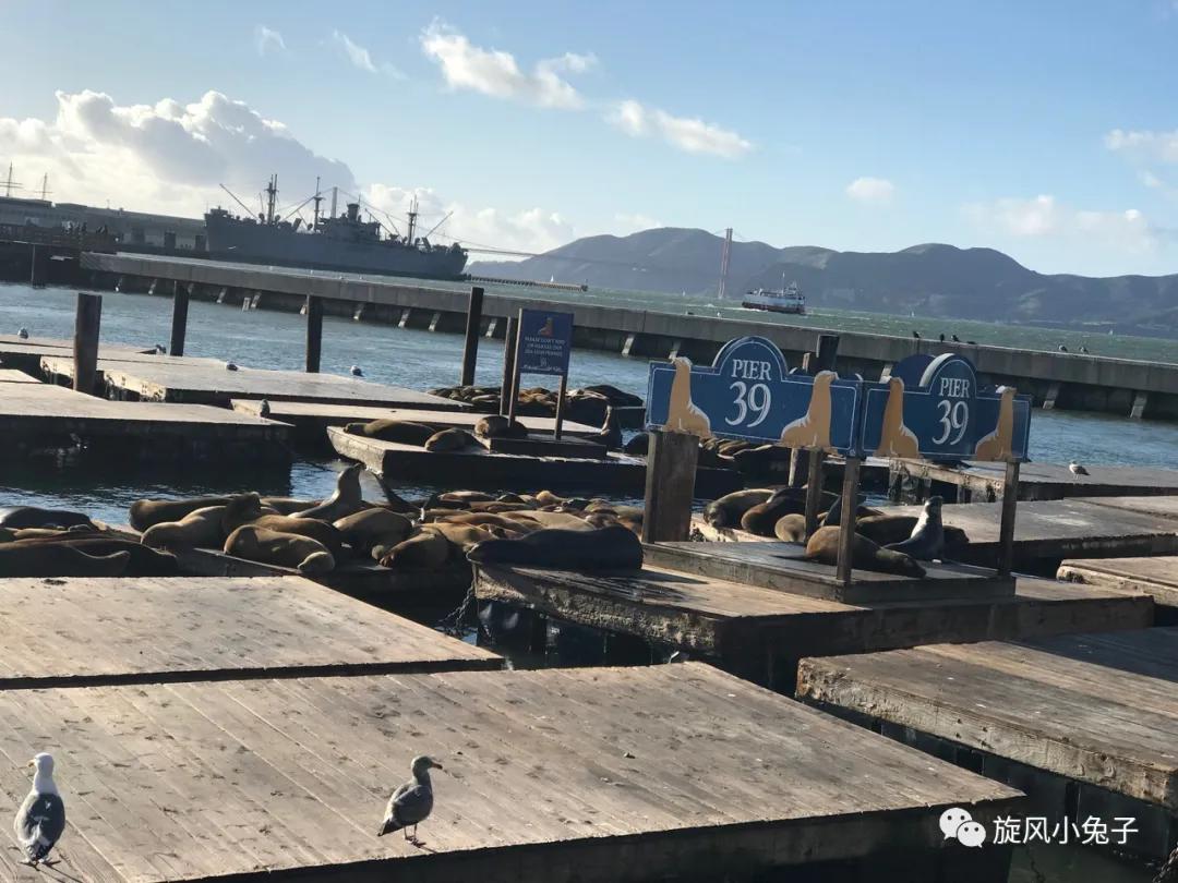 加州沿海1号公路,加州沿海一号公路一日游推荐