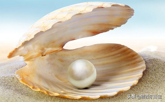 珍珠变黄了用啥能洗亮,清洗珍珠变黄的正确方法