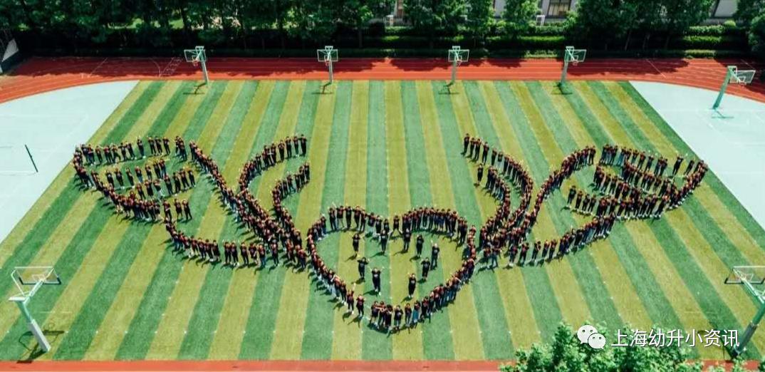 上海十大民办小学排名一览表最新,上海全市招生的民办小学