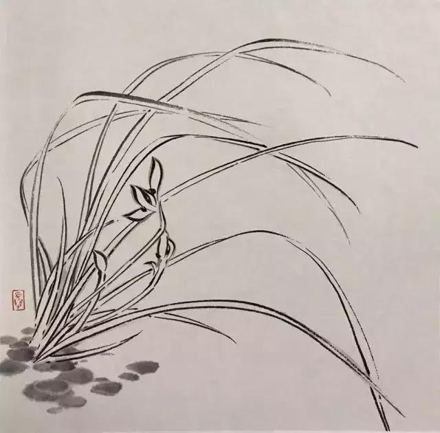 如何画兰花最好看的,君子兰花如何画