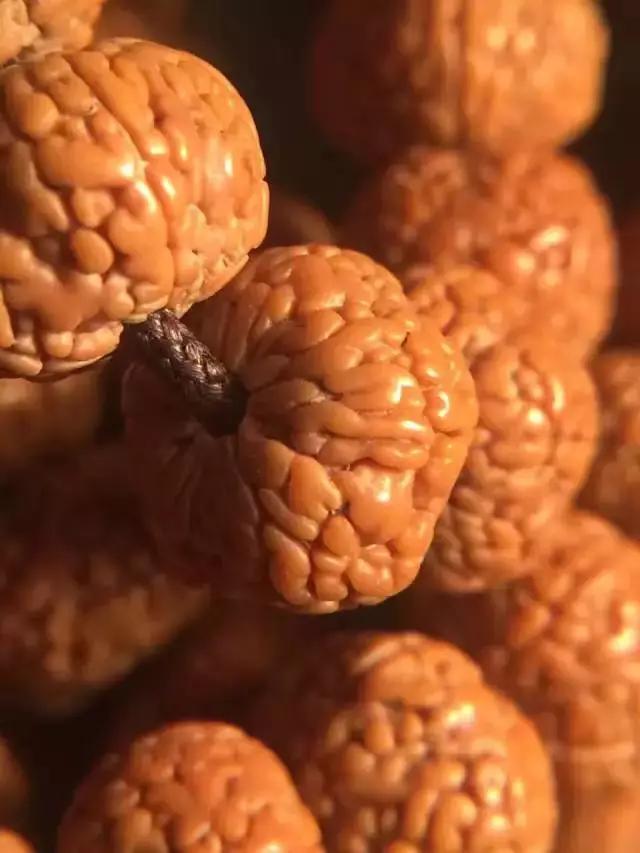 什么是金刚菩提鹰爪纹路,金刚菩提表面纹路磨损