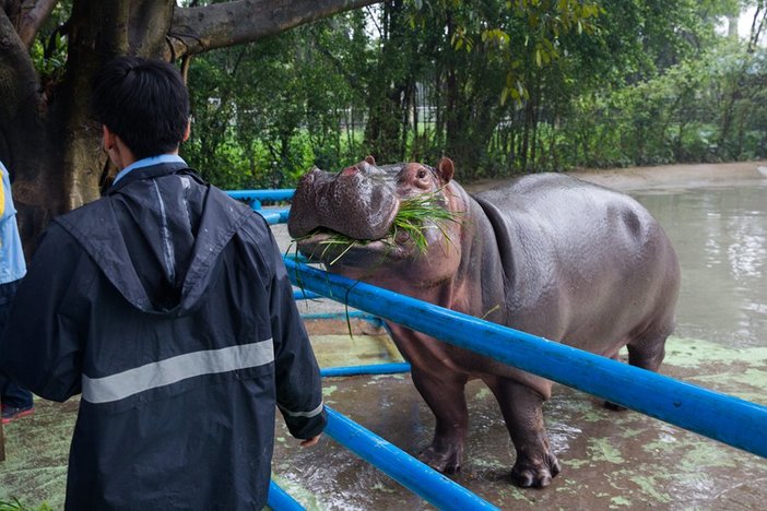 长隆飞鸟乐园湿地精灵,长隆飞鸟公园一日游攻略